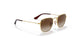 223/13 - Gold - Brown Gradient