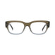 050 - Shiny Brown - DEMO
