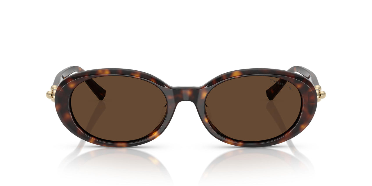 80153G - Tortoise - Light Brown