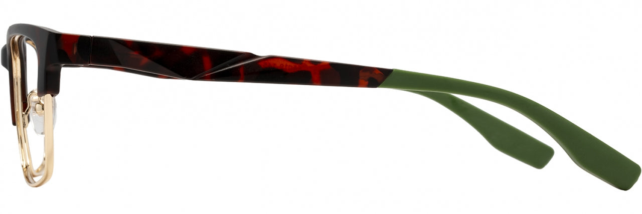 2 - Tortoise / Gold / Pine