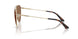 301773 - Gold - Dark Brown