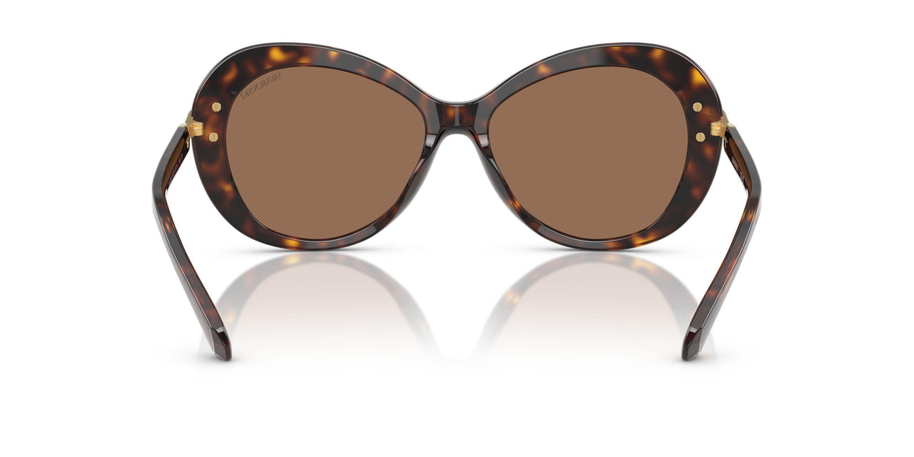 100273 - Tortoise - Dark Brown