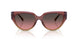 325611 - Pink - Brown Rose Gradient