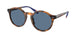 Polo 4204U Sunglasses