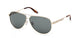 BMW 0061H Sunglasses