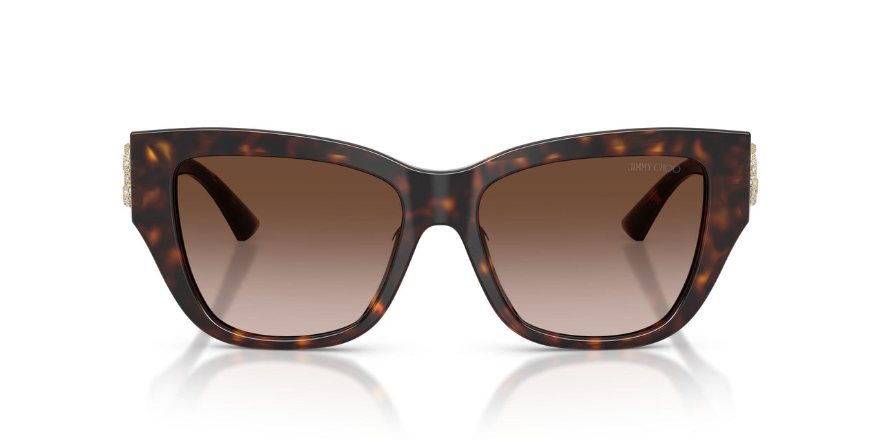 500213 - Tortoise - Gradient Brown