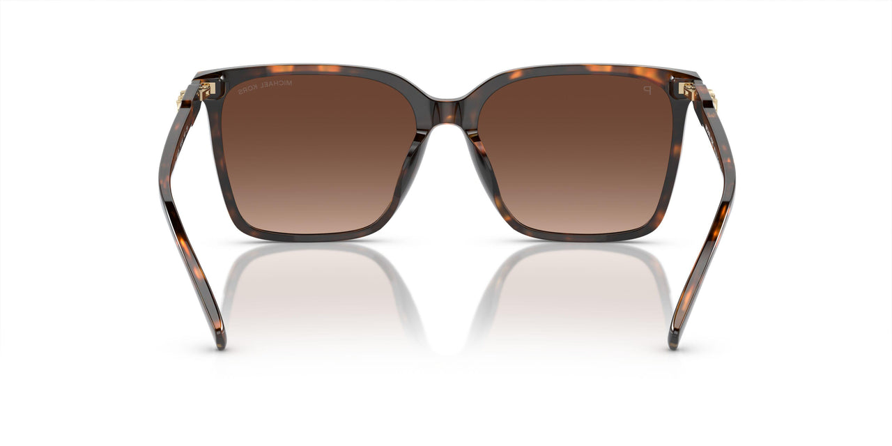 3006T5 - Tortoise - Brown Gradient Polar