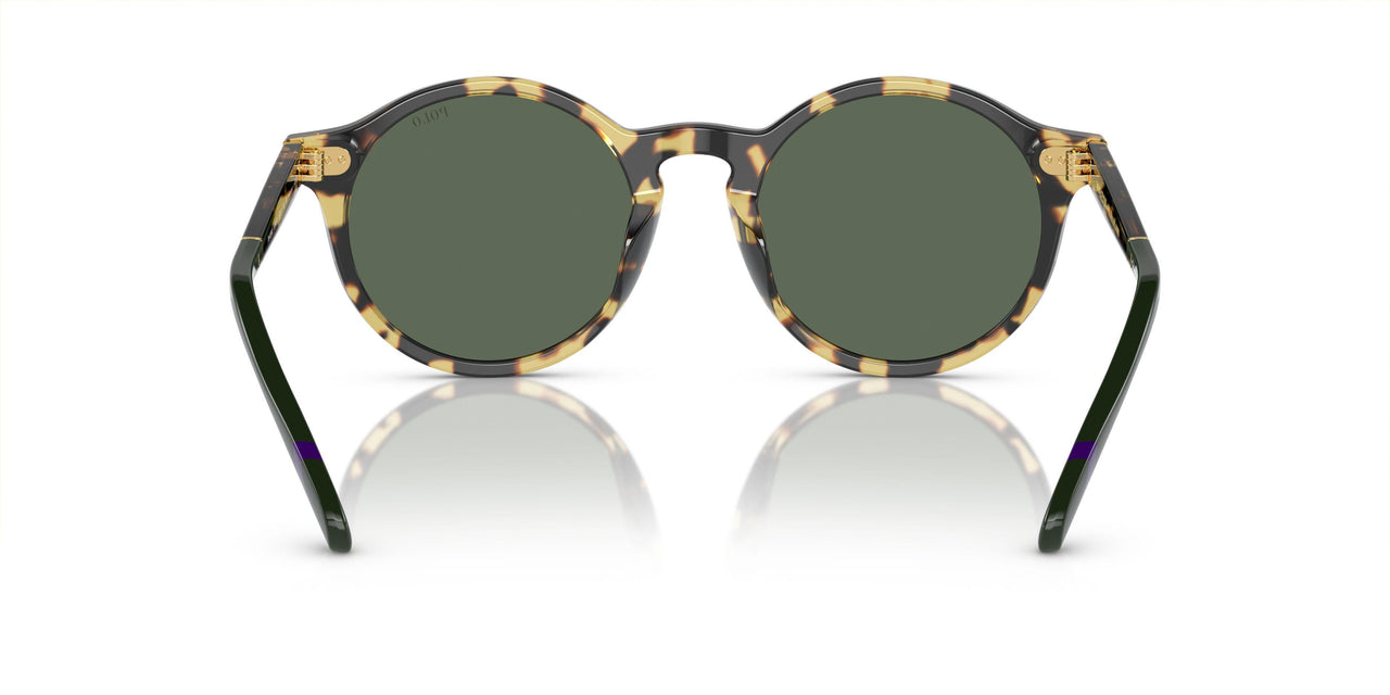 500471 - Dark Green