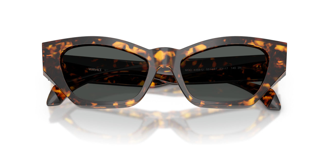551487 - Tortoise - Dark Grey