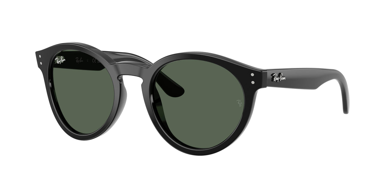 Ray-Ban R0505S Sunglasses