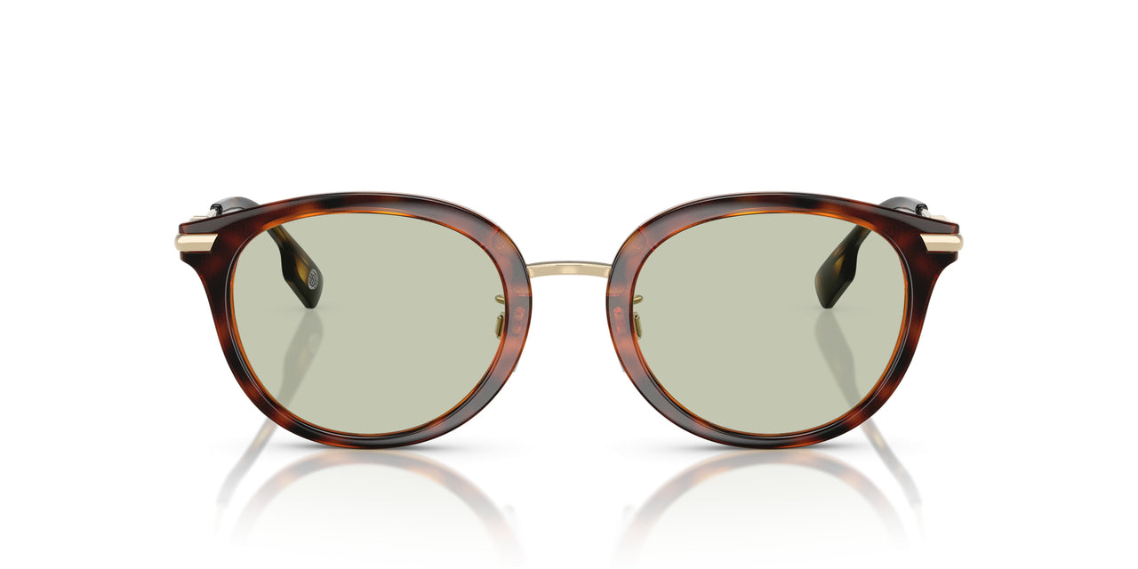 3002/2 - Brown - Light Green