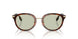 3002/2 - Brown - Light Green
