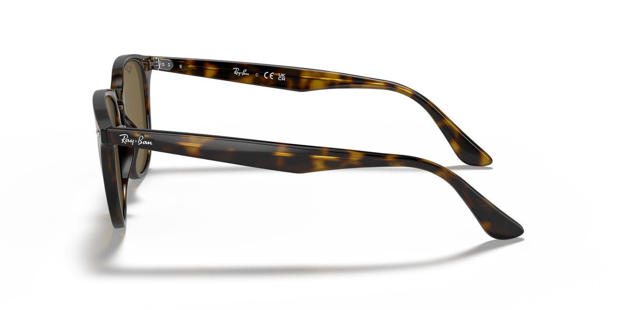 710/73 - Havana - Brown