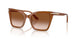637613 - Brown - Brown Gradient