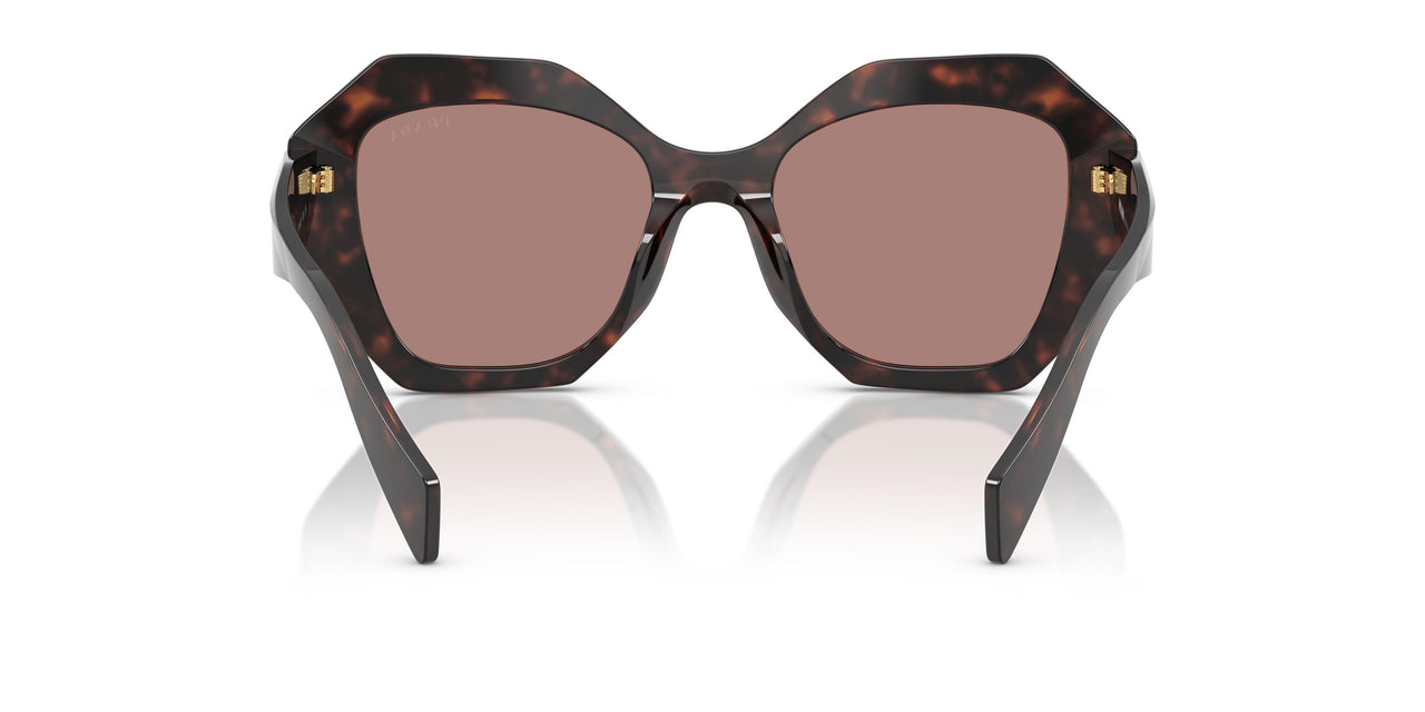 17N60B - Tortoise - Light Brown