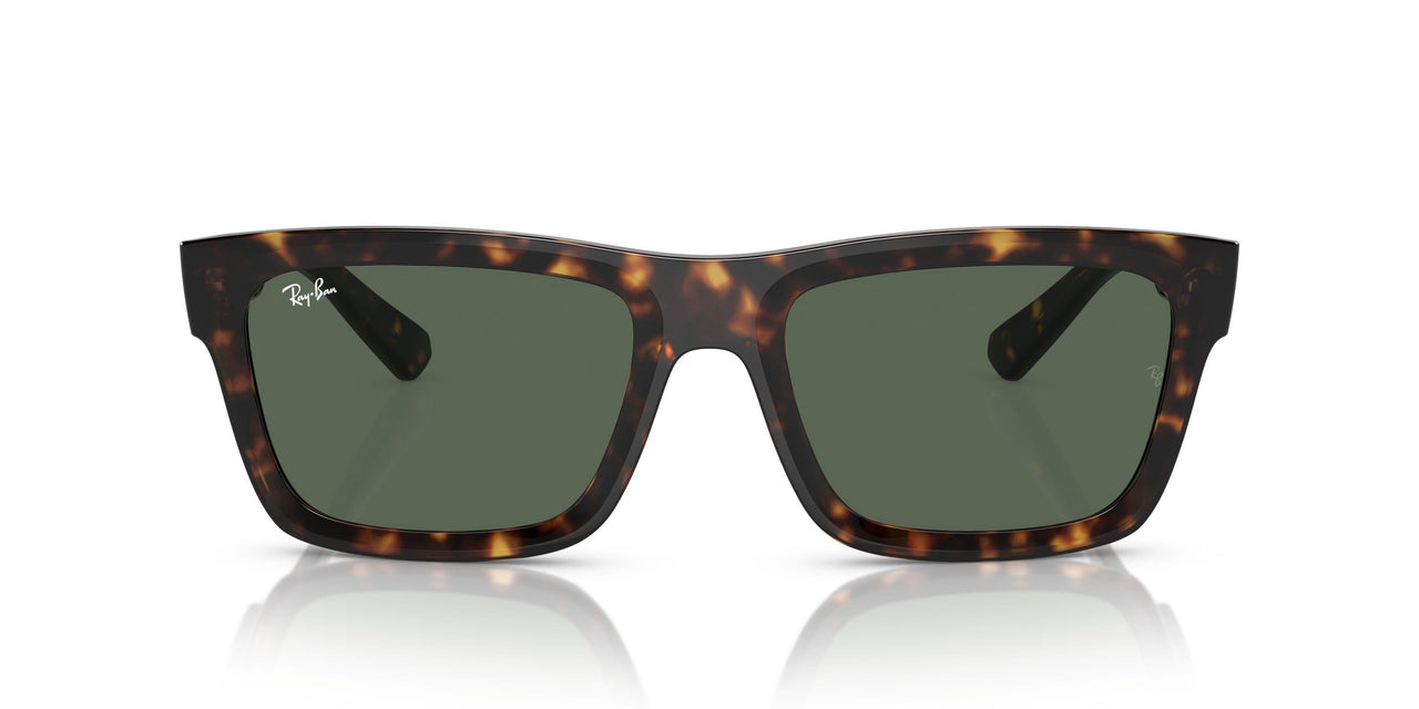 135971 - Tortoise - Dark Blue