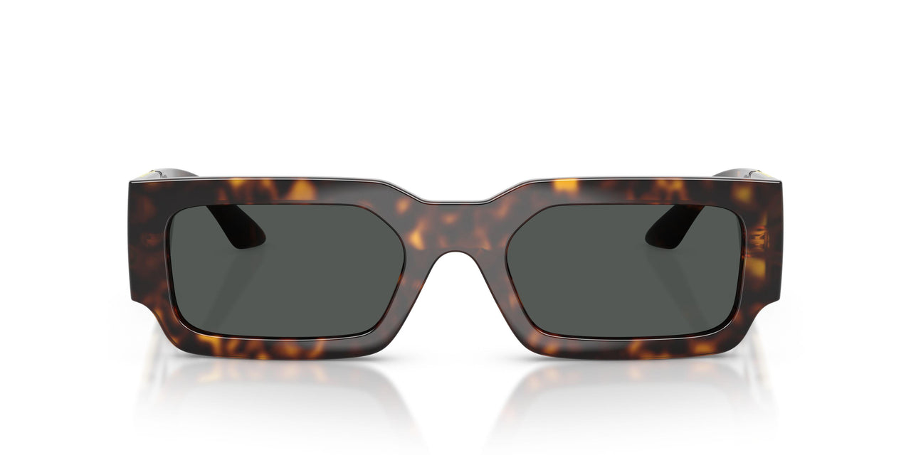 108/87 - Tortoise - Dark Grey