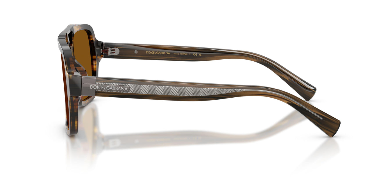 306363 - Tortoise - Brown
