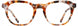 2 - Tangerine Demi