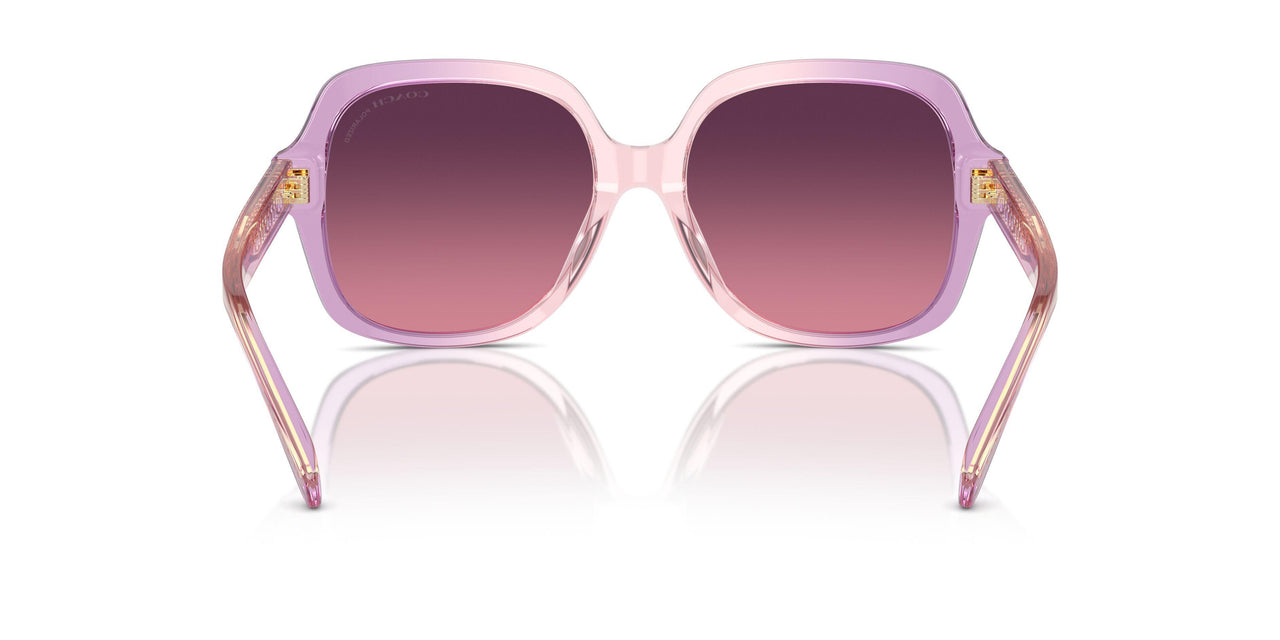 5813F4 - Violet - Burgundy Gradient Polar