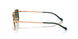 51529A - Gold - Dark Green Polar