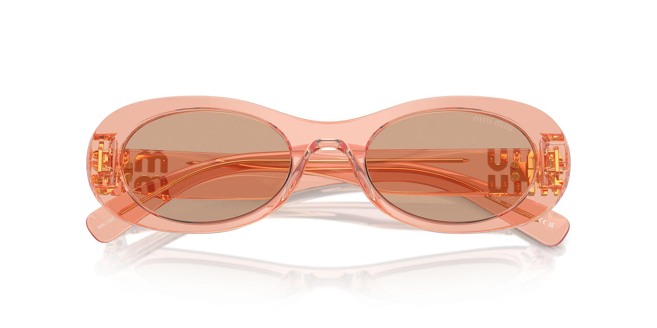 13T1P1 - Pink - Dark Brown