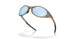 943845 - Brown - Prizm Deep Water Polarized
