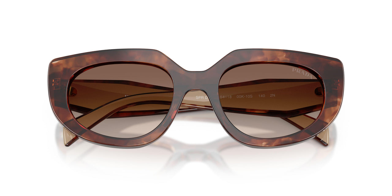 00K10S - Tortoise - Brown Gradient