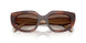 00K10S - Tortoise - Brown Gradient