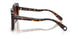 100274 - Tortoise - Gradient Brown