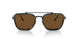 801557 - Black - Brown Polar