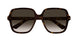 003 - Havana - Brown
