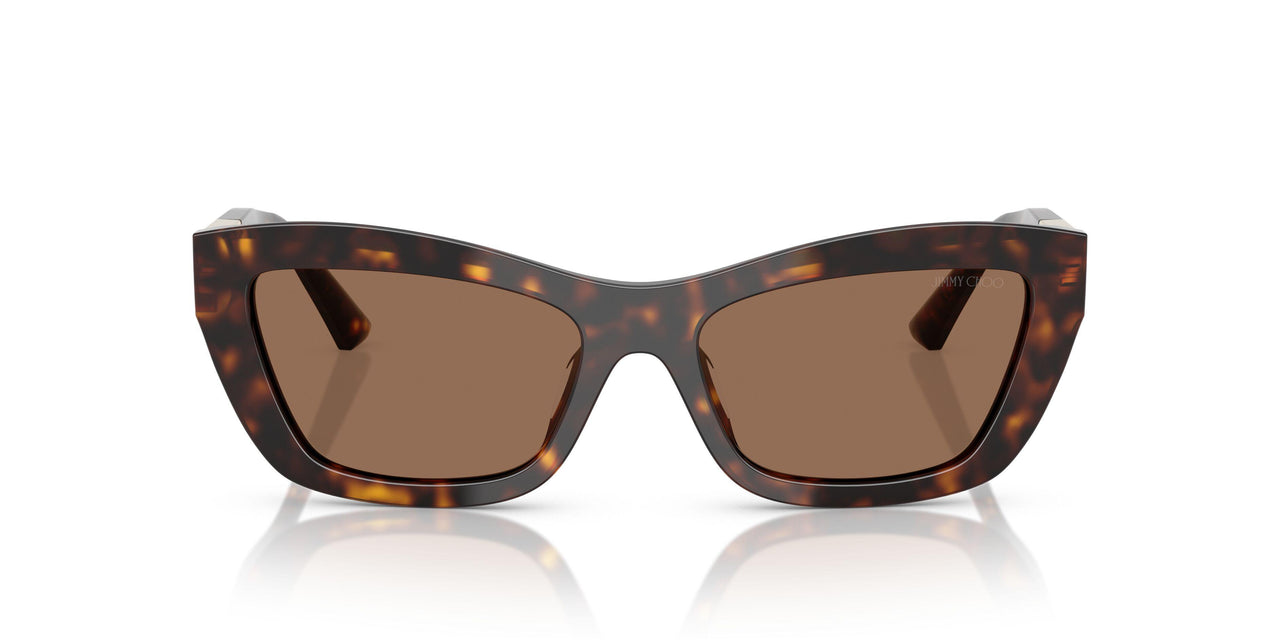 500273 - Tortoise - Dark Brown