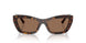500273 - Tortoise - Dark Brown