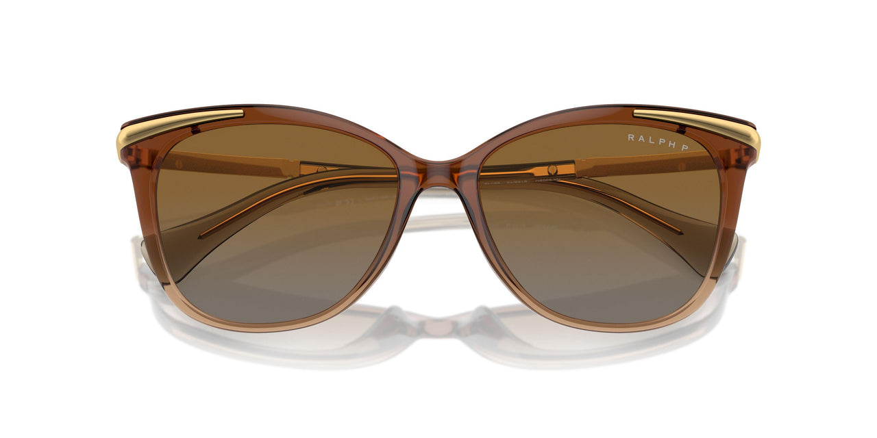 6133T5 - Beige - Polar Gradient Brown