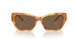 605173 - Tortoise - Brown