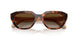 W656T5 - Brown - Gradient Brown Polar