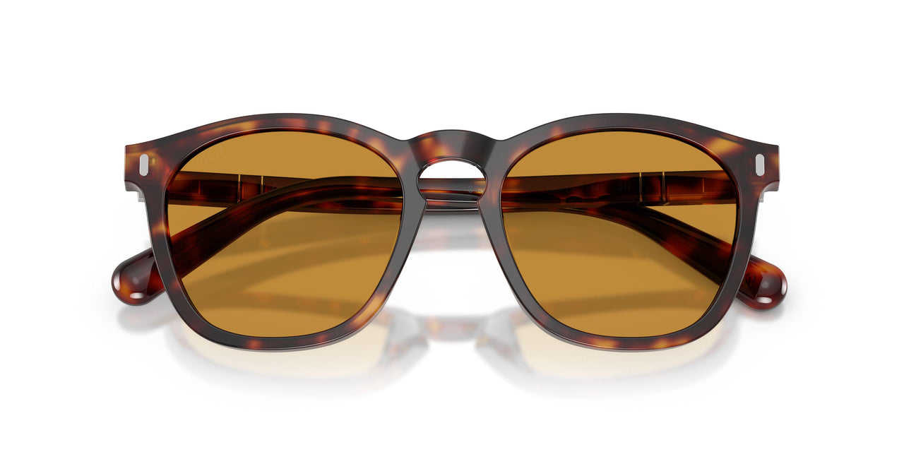 24/53 - Tortoise - Yellow Brown