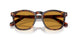 24/53 - Tortoise - Yellow Brown