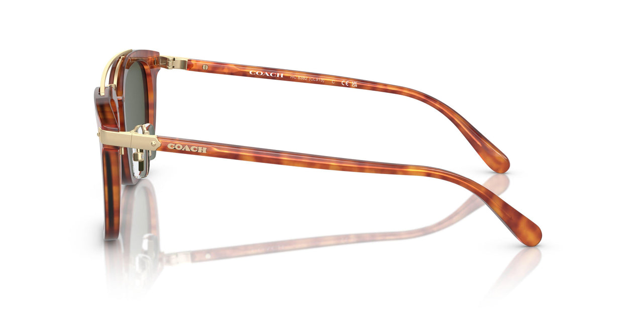 577482 - Tortoise - Army Green