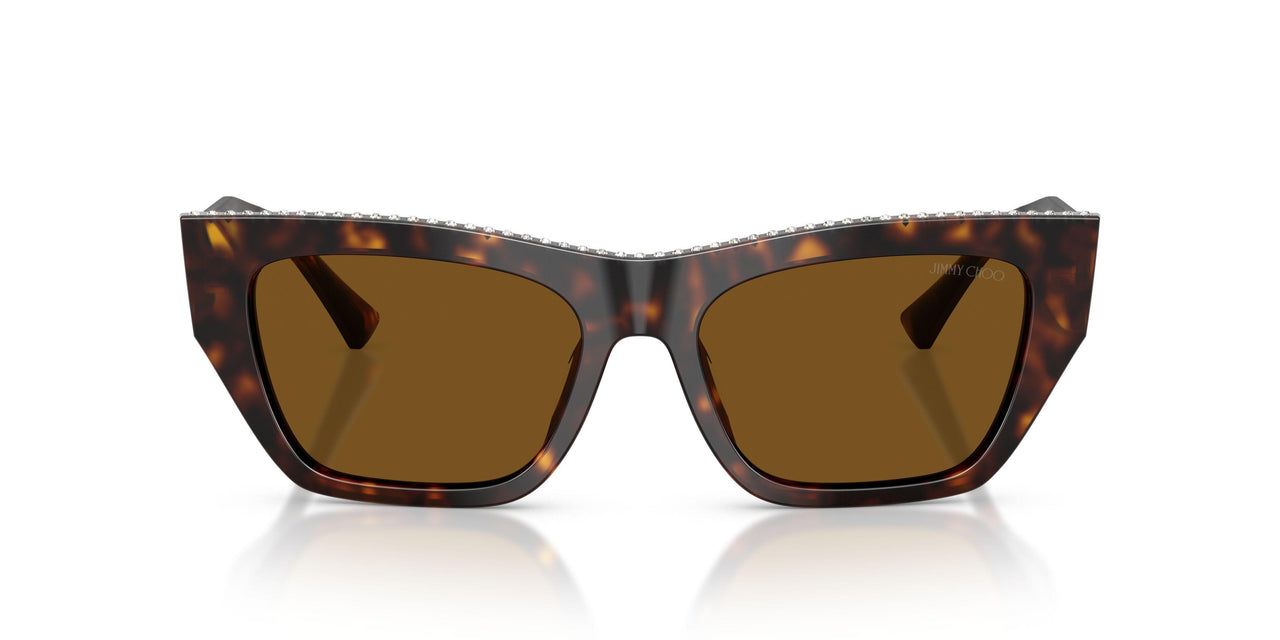 500283 - Tortoise - Dark Brown Polar