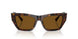 500283 - Tortoise - Dark Brown Polar