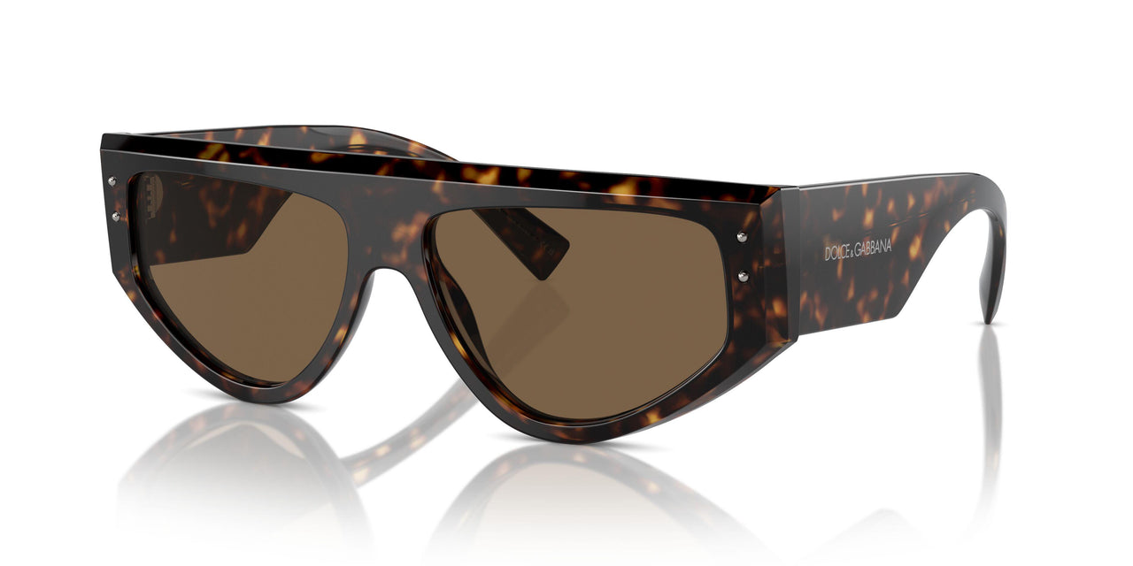 502/73 - Tortoise - Dark Brown