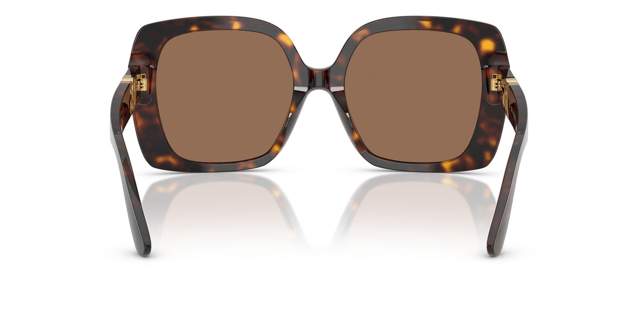 502/73 - Tortoise - Dark Brown