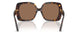 502/73 - Tortoise - Dark Brown