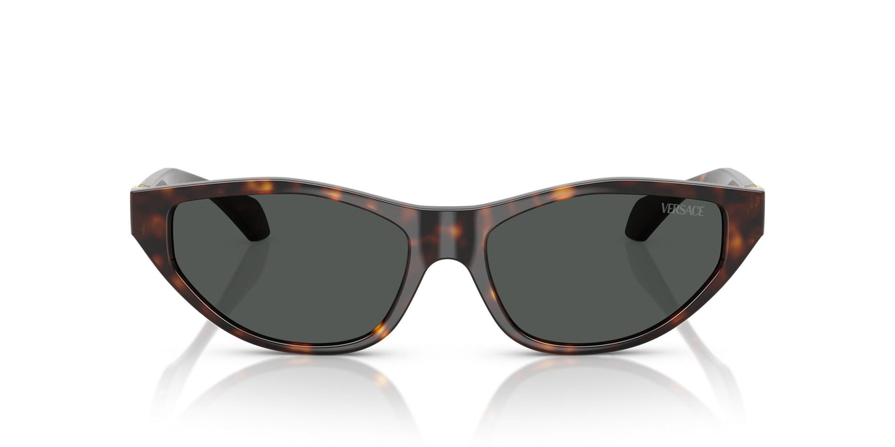 108/87 - Tortoise - Dark Grey