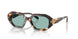 207282 - Tortoise - Petrol Green