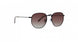 Life Is Good LGCEDARKEY Sunglasses