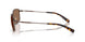 102173 - Copper - Dark Brown