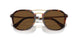 24/57 - Tortoise - Polar Brown